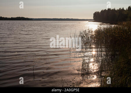 Il Rising Sun riflette meravigliosamente sul lago di acqua in corrispondenza delle zone rurali della Finlandia. L'inizio autunno mattina sono belle di laghi. Foto Stock