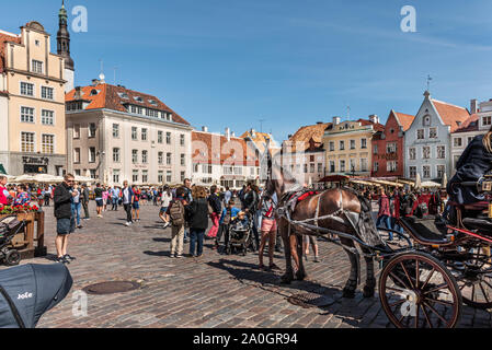 Strade storiche e la costruzione nella città vecchia di Tallinn, Estonia. Foto Stock