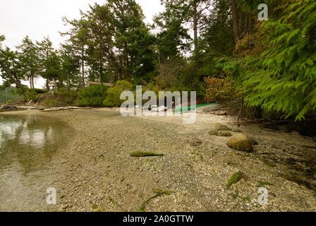 Barche immagazzinate a Chamvation Bay a Trincomali, North Pender Island, British Columbia, Canada Foto Stock