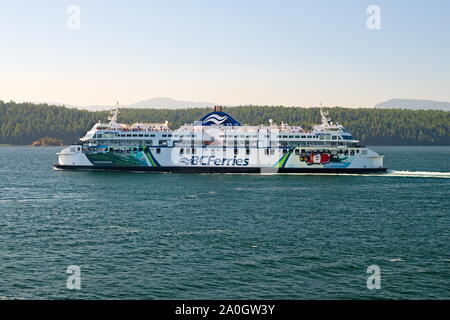 BC Ferries che attraversa il Golfo della Georgia Foto Stock