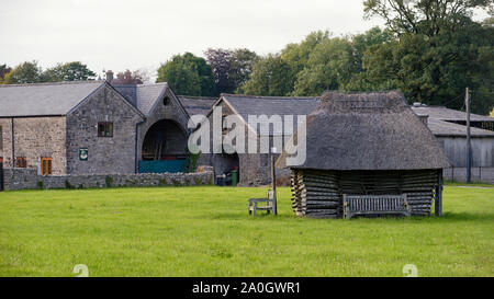 Priddy verde con paglia ostacoli di pecora & Manor Farm, Mendip Hills, Somerset, Regno Unito Foto Stock