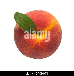 Albero, giallo, immaturo, frutta fresca, dolci, bagnato, FRUTTA PESCHE Foto Stock