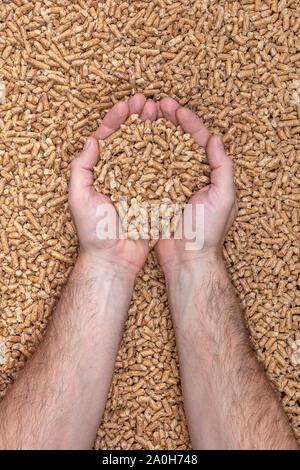 Mani giunte contengono naturale di pellet di legno usato per stufe e caldaie. L'energia alternativa concetto. Foto Stock