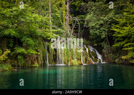Incredibili cascate nella foresta del Parco Nazionale dei laghi di Plitvice, Croazia. Paesaggio Naturale
