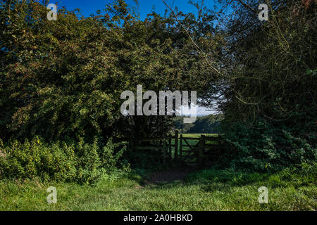 Warwickshire parchi del paese Foto Stock