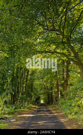 Il vecchio Coach Road, Tubney, Oxfordshire, Regno Unito Foto Stock