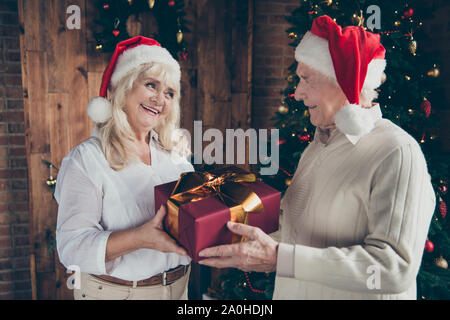 Ritratto di due belle allegro contenti lieti bella amico persone sposate coniugi marito e moglie vicino decorate abete dando la manipolazione rec Foto Stock