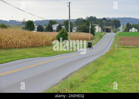 Un carrello Amish driver in Pennsylvania. Foto Stock