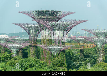 Super alberi del giardino della baia Foto Stock