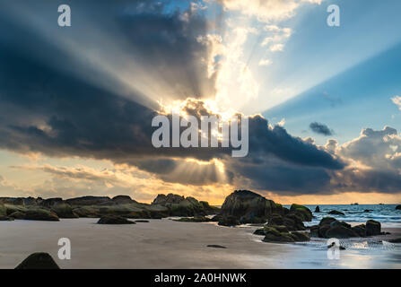 Le Alghe verdi sulle rocce della spiaggia l'alba con drammatica del cielo per dare il benvenuto al nuovo giorno Foto Stock