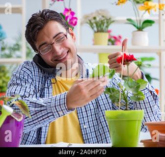 Il giovane fioraio lavora in un negozio di fiori Foto Stock