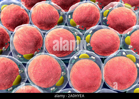 Campo di cellule di grasso, alta qualità 3D render di cellule di grasso, campo di celle, la divisione cellulare, immagine microscopica di cellule, rendering 3d, cellule, video medici Foto Stock