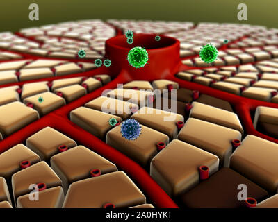 Il virus penetra nella cellula, malattia del fegato, virus attaccano i polmoni, il processo di infettare le cellule Foto Stock