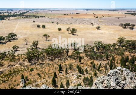 Vista delle pianure Arapiles dal vertice di Mitre Rock in Victoria, Australia. Foto Stock