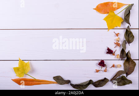 Concetto di autunno. Appartamento laico, vista dall'alto. Cornice fatta di fiori secchi, foglie secche in bianco sullo sfondo di legno. copia spazio per il testo. Foto Stock