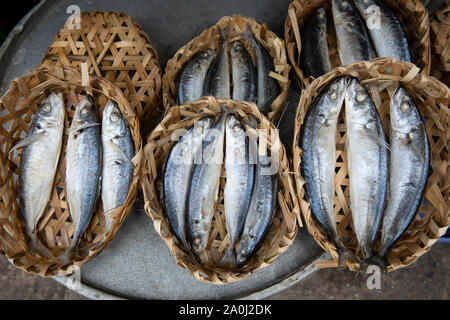 Il piccolo pesce venduto in cesti in Ho Chi Minh City mercato del pesce Foto Stock