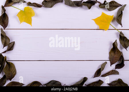 Concetto di autunno. Appartamento laico, vista dall'alto. Cornice fatta di fiori secchi, foglie secche in bianco sullo sfondo di legno. copia spazio per il testo. Foto Stock