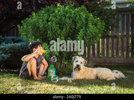 Ragazzo giovane soffiare bolle per il suo cane in un cortile in un giorno di estate. Foto Stock