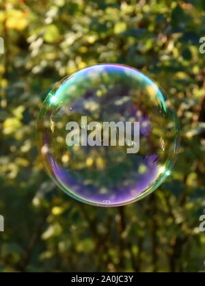 La riflessione di una casa in una bolla di sapone Foto Stock