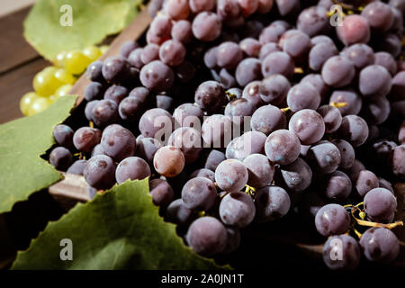Fresche uve rosse in cassa in un tavolo di legno. Vitigno rosso dettaglio Foto Stock