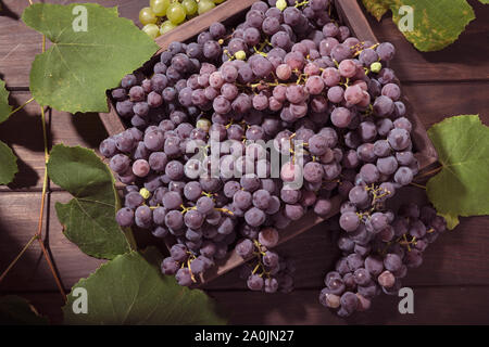 Fresche uve rosse in cassa in un tavolo di legno. Vitigno rosso Foto Stock
