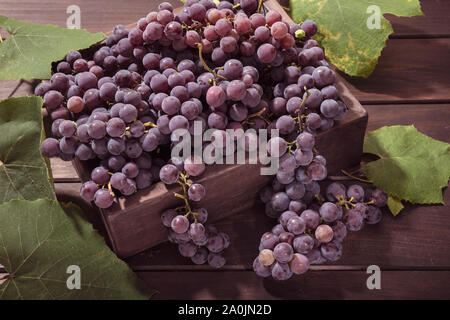 Fresche uve rosse in cassa in un tavolo di legno. Vitigno rosso Foto Stock