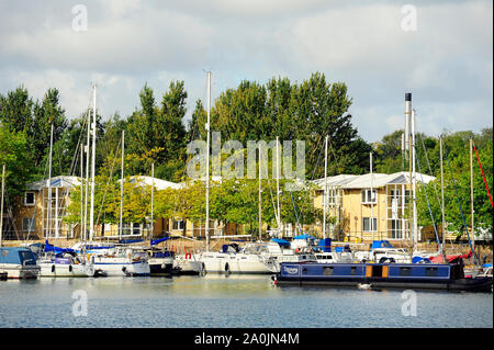 Vista su Preston Marina in estate Foto Stock