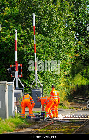 Tre ingegneri in tuta arancione lavorando sul traffico in transito area di Preston treno a vapore che corre lungo Preston docks e marina Foto Stock