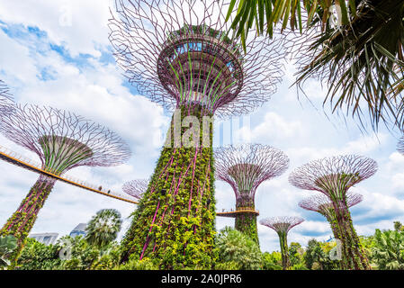 SINGAPORE - Novembre 11, 2018: Supertree grove in giardino dall'alloggiamento. Vista dal basso Foto Stock