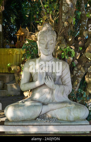 Una statua di Buddha che mostra il Buddha che forma il gesto della mano Dharmachakra Mudra nel terreno intorno al simbolo del Grande Buddha a Phuket, Thailandia Foto Stock