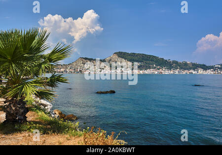 Palma sulla riva del mare e la vista della capitale dell'isola di Zante in Grecia Foto Stock