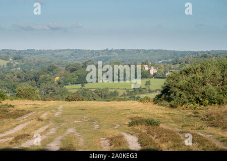 La vista di Ashdown Forest in una giornata di sole, East Sussex, Regno Unito Foto Stock