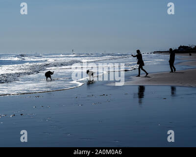 Silhouette di un back lit giovane con due cani godendo della splendida spiaggia di sabbia e il mare a Mablethorpe, Lincolnshire, Inghilterra Foto Stock