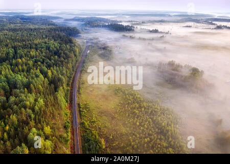 Unica via ferrovia attraverso il bosco nebbioso vista aerea in mattinata estiva Foto Stock