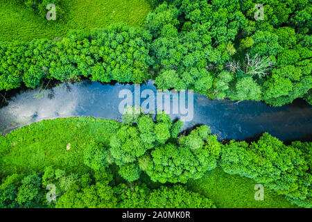 Verde della foresta e del fiume in Tuchola parco naturale, dal di sopra Foto Stock