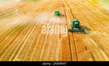 Due dispositivi di prelievo la raccolta di sementi sul campo, vista aerea Foto Stock
