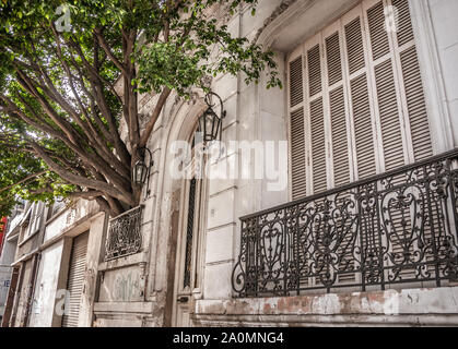 Buenos Aires, Argentina - 1 Agosto 2009: Molto rari albero che è cresciuto attraverso una finestra nella città di Buenos Aires. Foto Stock