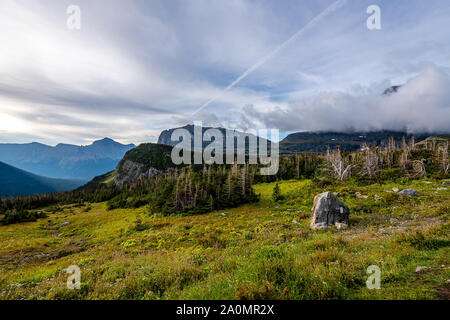 Logan pass, il Glacier National Park Foto Stock