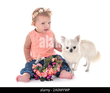 Bambino e cane in font di sfondo bianco Foto Stock