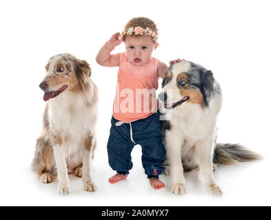 Bambino e cane in font di sfondo bianco Foto Stock