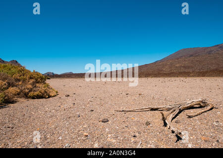 In pietra a secco il paesaggio del deserto con driep fino vegetazione nelle calde giornate di sole Foto Stock