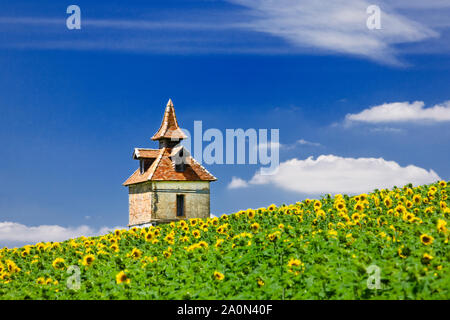 Pigeon loft o Pigeonniere in un campo di girasoli nel sud della Francia, Europa Foto Stock