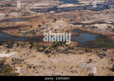 Okavango Delta paesaggio Vista aerea nella stagione secca di savana, alberi e corsi d acqua Foto Stock