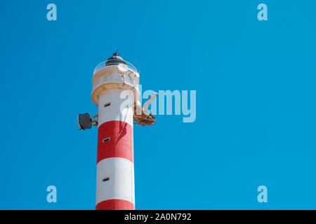 Rosso Bianco,torre faro isolato sul cielo blu Foto Stock