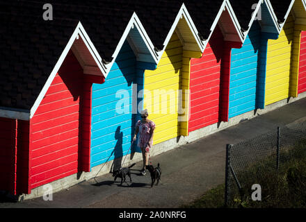 Una donna cammina i suoi cani passato dipinto luminosamente beach capanne in Whitby, nello Yorkshire, come le temperature sono attesi per volare a 26C in alcune parti del paese questo fine settimana. Foto Stock
