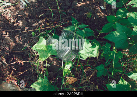 I contenitori in plastica e il cestino nella foresta. Inquinamento ambientale. La questione ambientale e la catastrofe. Go Green Rifiuti Zero, salvare il pianeta terra da Foto Stock