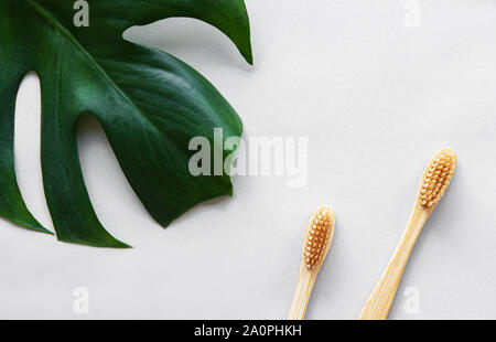 Eco Friendly di bamboo naturale spazzolini da denti su sfondo bianco con verde foglie di monstera. Rifiuti Zero concetto, plastica libera Foto Stock
