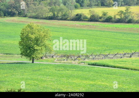 Gettsyburg la vista della battaglia che ha avuto luogo dal luglio 1-3 1863. Foto Stock