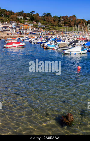 Lyme Regis south coast uk holiday resort, lo storico porto di cobb, Dorset, England, Regno Unito, GB Foto Stock