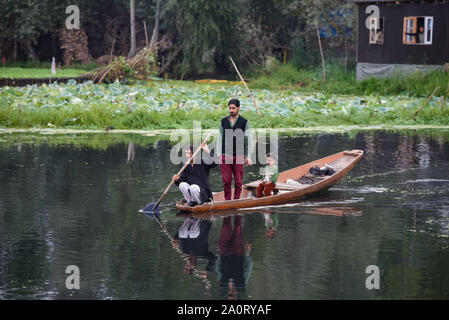 Srinagar, Jammu e Kashmir in India. Xxi Sep, 2019. Un uomo righe la sua barca nelle prime ore del mattino sul lago Dal durante le restrizioni in Srinagar.normale vita rimane sconvolto per la XLVII Giornata nella valle del Kashmir dopo l'abrogazione dell'articolo 370 che conferisce lo status speciale di stato. Credito: Idrees Abbas SOPA/images/ZUMA filo/Alamy Live News Foto Stock